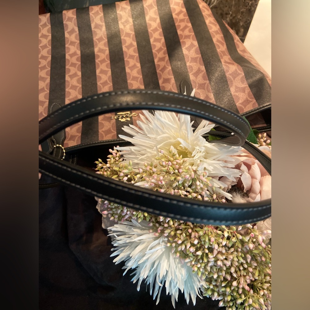 Coach Large City Tote Bag in Signature Canvas with Stripe. - Picture 5 of 11